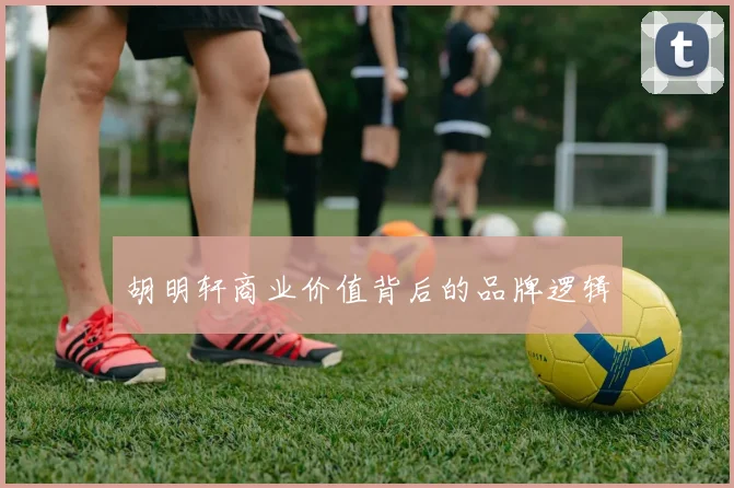 胡明轩商业价值背后的品牌逻辑
