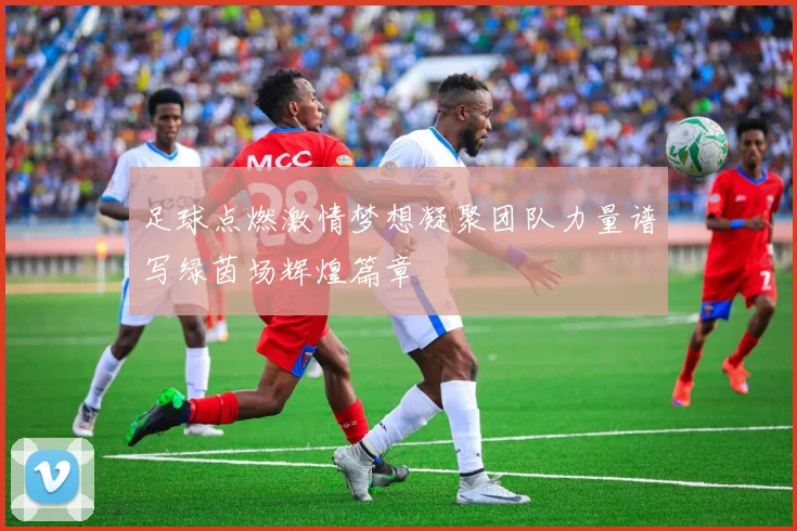 足球点燃激情梦想凝聚团队力量谱写绿茵场辉煌篇章