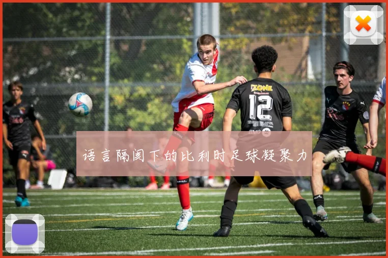 语言隔阂下的比利时足球凝聚力