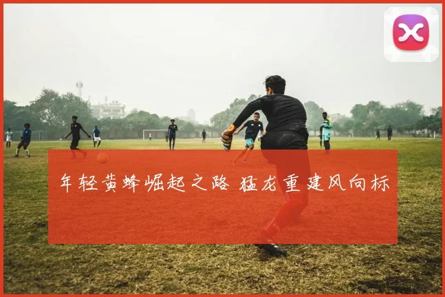 年轻黄蜂崛起之路 猛龙重建风向标