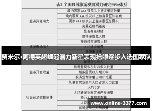 贾米尔·阿德英超崛起潜力新星表现抢眼逐步入选国家队