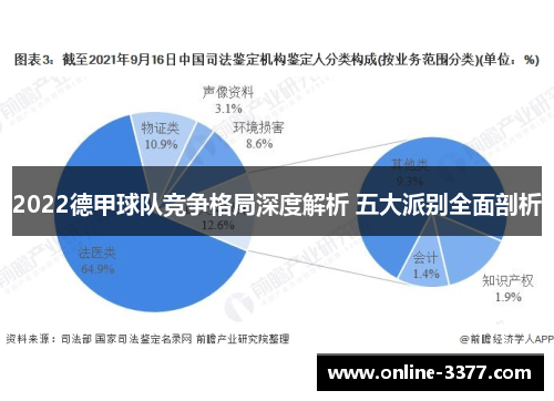 2022德甲球队竞争格局深度解析 五大派别全面剖析