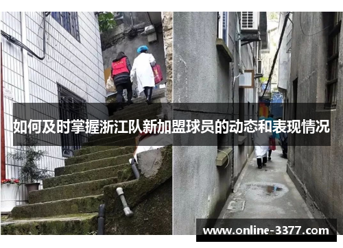 如何及时掌握浙江队新加盟球员的动态和表现情况