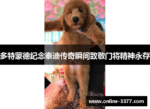 多特蒙德纪念泰迪传奇瞬间致敬门将精神永存