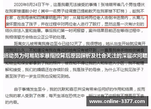 运动员为何易陷家暴指控背后原因探析及社会关注的深层次问题