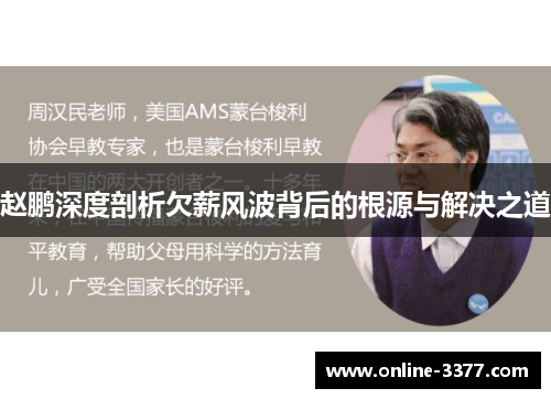 赵鹏深度剖析欠薪风波背后的根源与解决之道