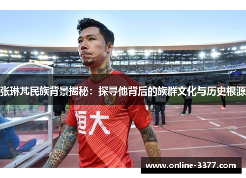 张琳芃民族背景揭秘：探寻他背后的族群文化与历史根源